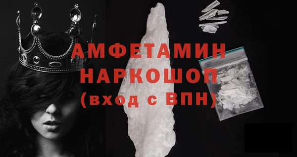 индика Сатка
