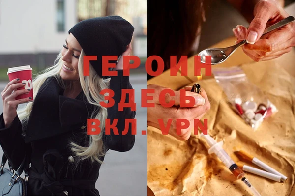 индика Сатка