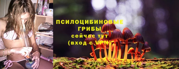 крисы Саяногорск