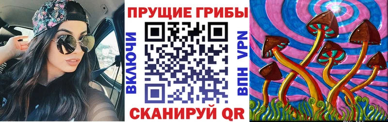Псилоцибиновые грибы мицелий Нововоронеж