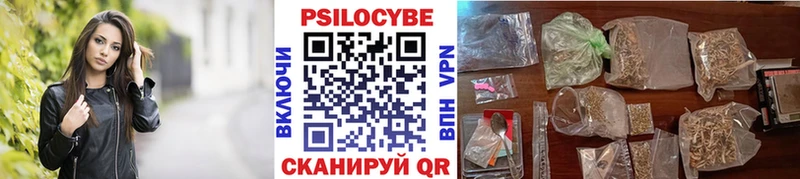 Купить  Нововоронеж  Псилоцибиновые грибы мицелий 